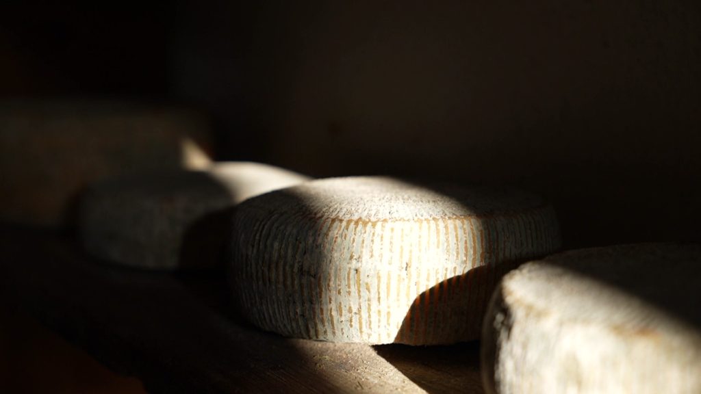 The King of Naxian Cheeses: Discovering the Legendary "Arseniko"