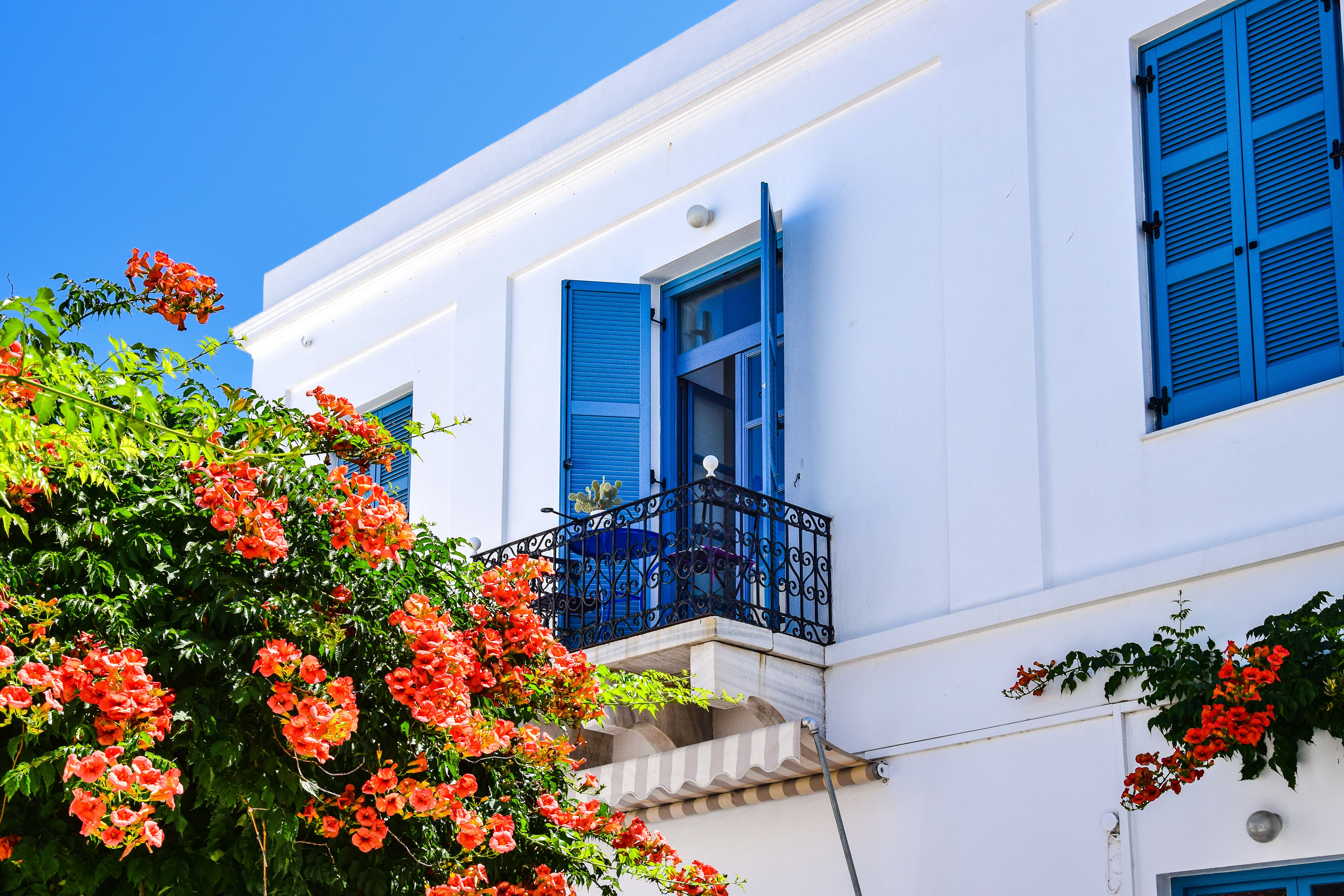 The Investor's On-Island Reality: Why Local Intelligence Outperforms Real Estate Brokers